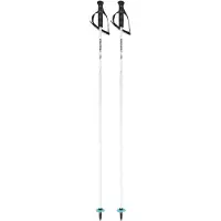 Head Bâtons Worldcup Rebels Carbon