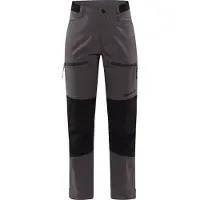 Craft Pro Explore Hiking Pants Gris S Femme