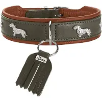 Hunter 69396 Collier Pour Chiens Et Chats Couleur Cognac, Vert Cuir Xs-S Chien Collier Standard