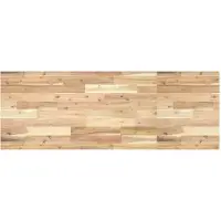 vidaXL Plan de toilette Non traité 160x50x2 cm Bois massif Acacia - Miroir de salle de bain 3279666