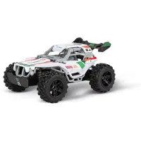 Carrera 2.4GHz Team Rider 1:20