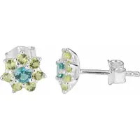 Radiant Ry000109 Earrings Clair Femme