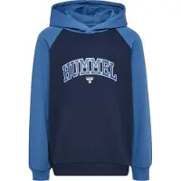 Hummel Essen Hoodie Bleu 146 cm Garçon