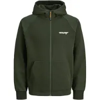 Jack & Jones Sweatshirts à capuche JJTHATCHER SWEAT hommes - Kaki - EU XL