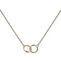 Daniel Wellington Collier - Daniel Wellington - Lumine Unity - Acier Inoxydable - Cristaux - Or Rose