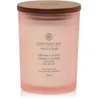 Chesapeake Bay Candle Stillness & Purity