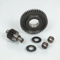 Polini Transmission Secondaire Allongée Pour Scooter Piaggio 50 Typhoon 1999 202.1402