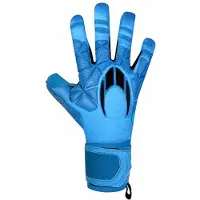 Ho Soccer Ssg Legend Ergo Gecko Goalkeeper Gloves Bleu 6