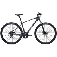 Giant Roam 4 Altus Rd-m310 2026 Bike Argenté L