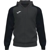 Joma Academy Iv Full Zip Sweatshirt Gris 7-8 Years Garçon