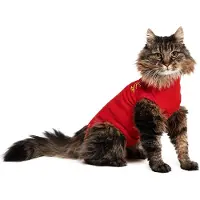 Medical Pet Shirt - Chat - Rouge - XS
