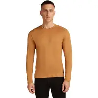 Icebreaker Merino 260 Tech Crewe Long Sleeve Base Layer Marron M Homme