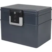 Yale YFWC/329/KB1 Safe Frei stehend sicher 16,5 l Kunststoff Schwarz - Grau (YFWC/329/KB1)