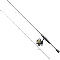 Daiwa Rs902hxhfsaf+rs4000 Spinning Combo Doré 2.72 m / 14-56 g