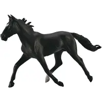 Collecta Mâle Standardbred Pacer Black - Figurine d'animal