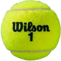 Wilson Balles De Tennis Roland Garros All Court Bipack