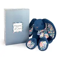 Histoire D'ours Peluche Lapin Copains câlins 25 cm Bleu