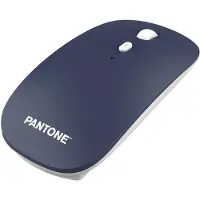 Pantone PT-KB09MN souris Maison RF sans fil Optique