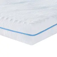 vidaXL Matelas de fermeté moyenne, 200 x 200 cm, blanc