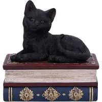 Nemesis Now - Figurine De Collection Chat Noir Et Boîte À Sortilèges 11.7cm