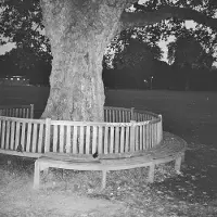 Import A New Place 2 Drown
