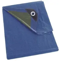 Perel Bâche - Bleu/Vert - Standard - 2 X 8 M
