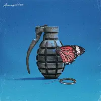 Import Armageddon