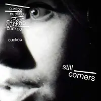 Konkurrent Cuckoo