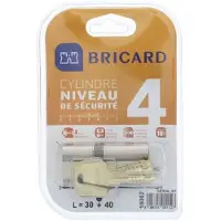Bricard SERIAL XP 18002 Cylindre 30+40 mm double entrée nickelé niveau de sécurité 4