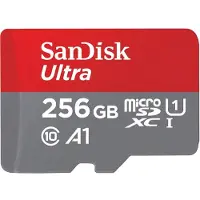 SanDisk microSDHC Ultra 256 Go (UHS-1/Cl.10/100MB/s) + adaptateur, tablette (00215484)