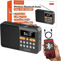Zenwire Mini radio FM Bluetooth portable à piles - Haut-parleur sans fil noir
