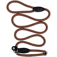 Lionto Laisse Retriever Laisse Pour Chien Laisse De Dressage Laisse De Traction Différentes Couleurs Et Longueurs Disponibles 170 Cm Marron