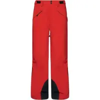 Oakley Apparel Canopy Pants Rouge S Homme