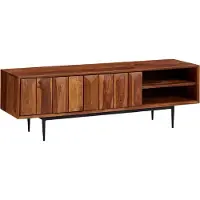 FineBuy Buffet bas en bois massif de Sheesham 123x42x35 cm Commode TV avec deux portes Armoire TV Haute Armoire TV Moderne Commode TV