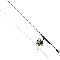 Daiwa Rs762mhfsaf+rs2500 Spinning Combo Doré 2.29 m / 7-28 g