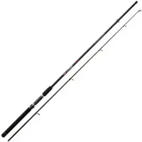 LINEAEFFE Vigor Living Canne à lancer Noir 3.00 m / 60 g Noir 3.00 m