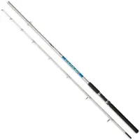 Zunzun Mar De Plata Spinning Rod Argenté 2.10 m / 80-120 g