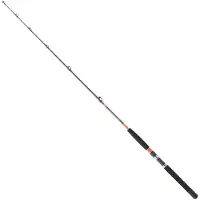 Daiwa Canne à pêche à la traîne Megaforce Silver 1.70 m / 30-50 Lbs Silver 1.70 m