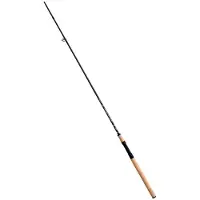 LINEAEFFE Canne Spinning Mastern
