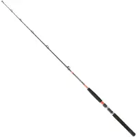 Daiwa Canne à pêche à la traîne Megaforce Silver 1.70 m / 50-80 Lbs Silver 1.70 m
