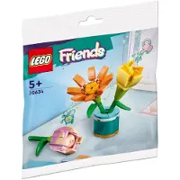 LEGO 30634 Friends Fleurs d'amitié Polybag