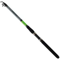 Daiwa Sensor Tele Boat Bottom Shipping Rod Noir 2.10 m / 50-250 g