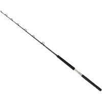 Daiwa Canne Traine Sealine X Slxtr100agbf