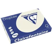 Clairefontaine Gris perle A3 Papier couleur 160 g/m² (250 feuilles)