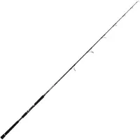Hart Bloody Wild Pop Popping Rod Argenté 2.39 m / 40-160 g
