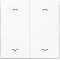 JUNG Bascule symboles aws pour bouton-poussoir double LS 995 MP WW
