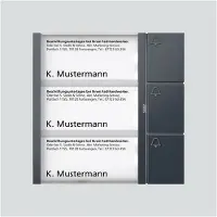 Siedle Bus-Tasten-Modul anthrazitgrau BTM 650-03 AG (210004909-00)