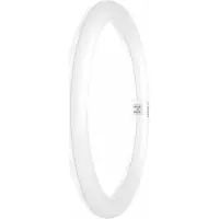 Osram LED Tube annulaire T9 EM KVG 18.3W 830 G10q 2000lm 3000K blanc chaud comme 32W 4099854042669