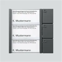 Siedle S. & Soehne Module de touches TM 612-3 DG gris foncé-mica triple