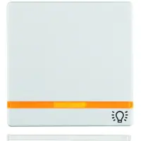 Berker Rocker avec 2 lentilles et impression - Plaque de recouvrement pour interrupteur / bouton blanc 16216079